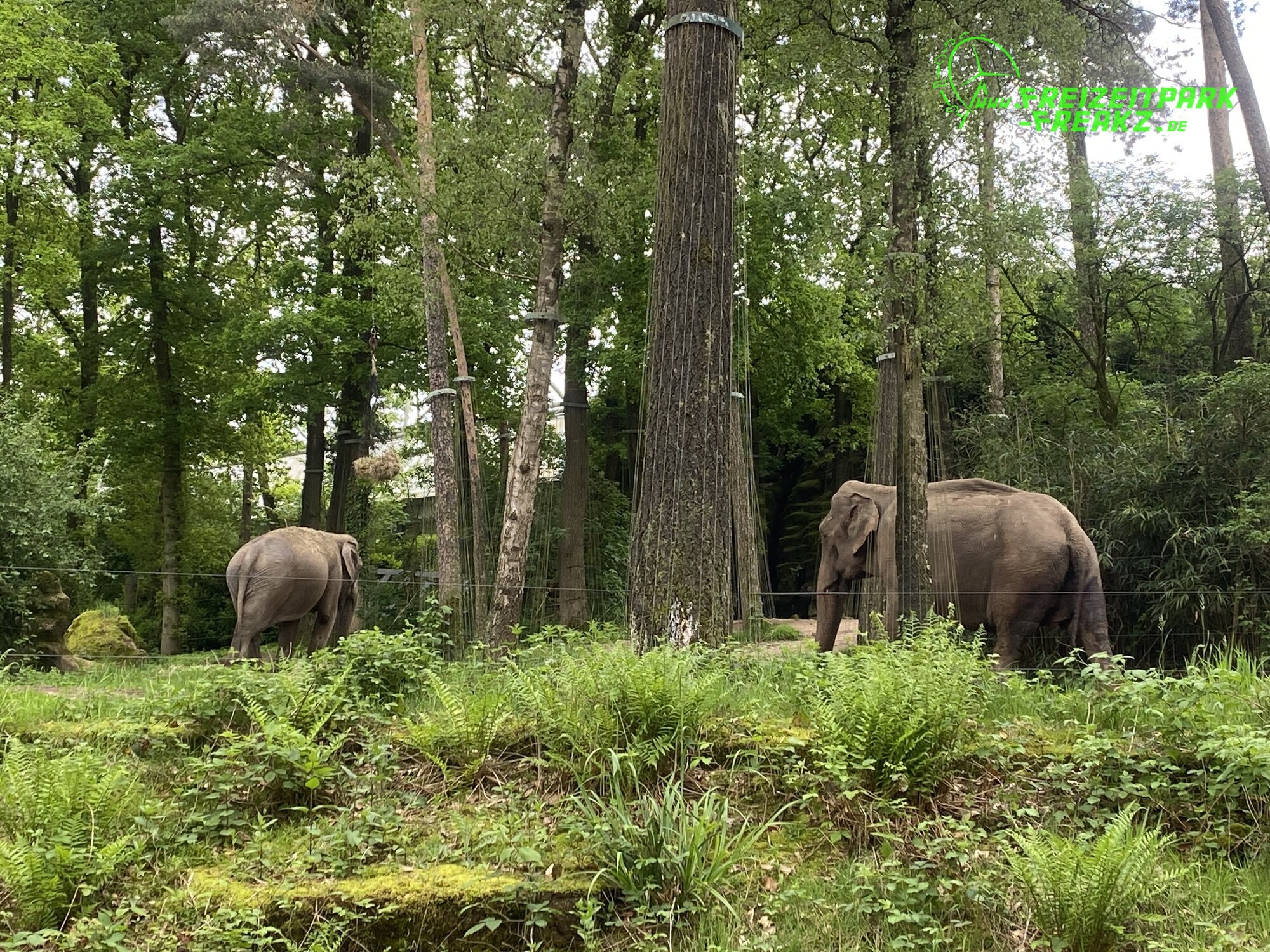 Burger’s Zoo